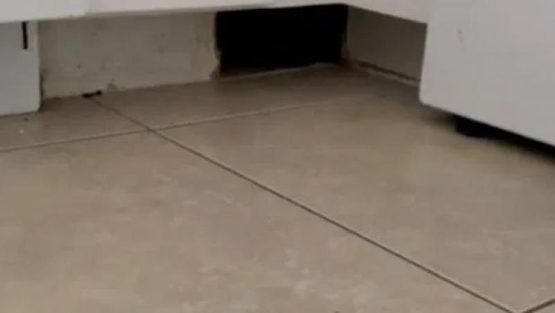Pisica lor a găsit o gaură ciudată în bucătărie și n-au știut ce să facă când au descoperit ce era în interiorul ei. Ce au găsit
