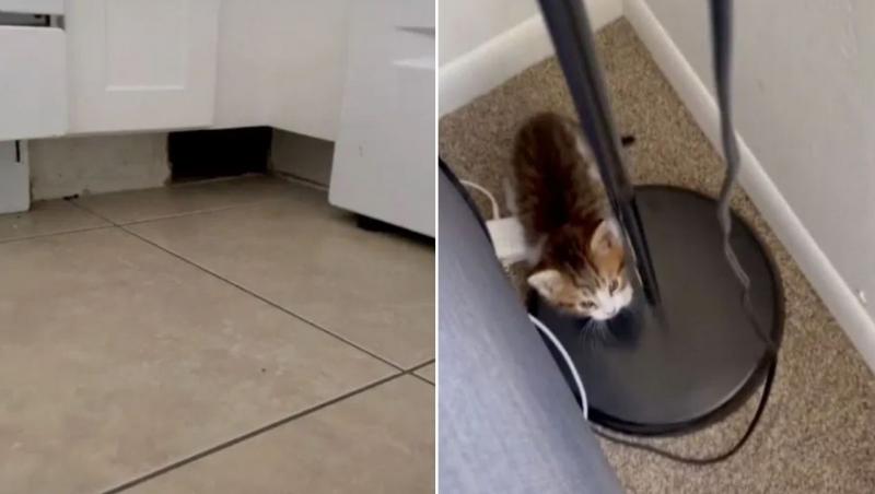 Doi tineri au descoperit o gaură misterioasă în bucătăria lor, cu ajutorul pisicii