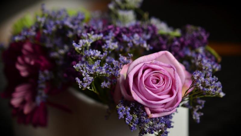 Cu orice ocazie deosebită alege să dăruiești flori femeii din viața ta, pentru a-i aduce şi mai multă fericire