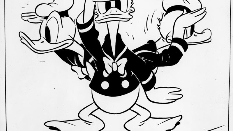 Donald Duck sau rățoiul Donald este unul dintre personajele Disney care a marcat copilăria tuturor, cu poveștile ghidușe și vocea specială.