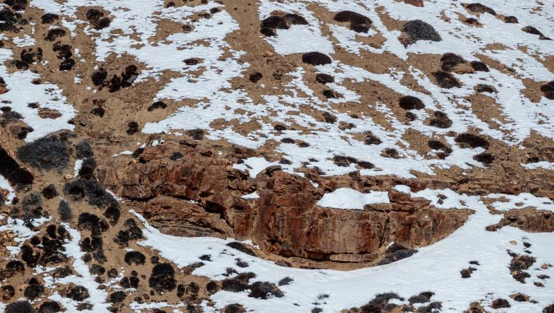 Un fotograf a surprins un leopard, perfect camuflat în peisajul de munte din India