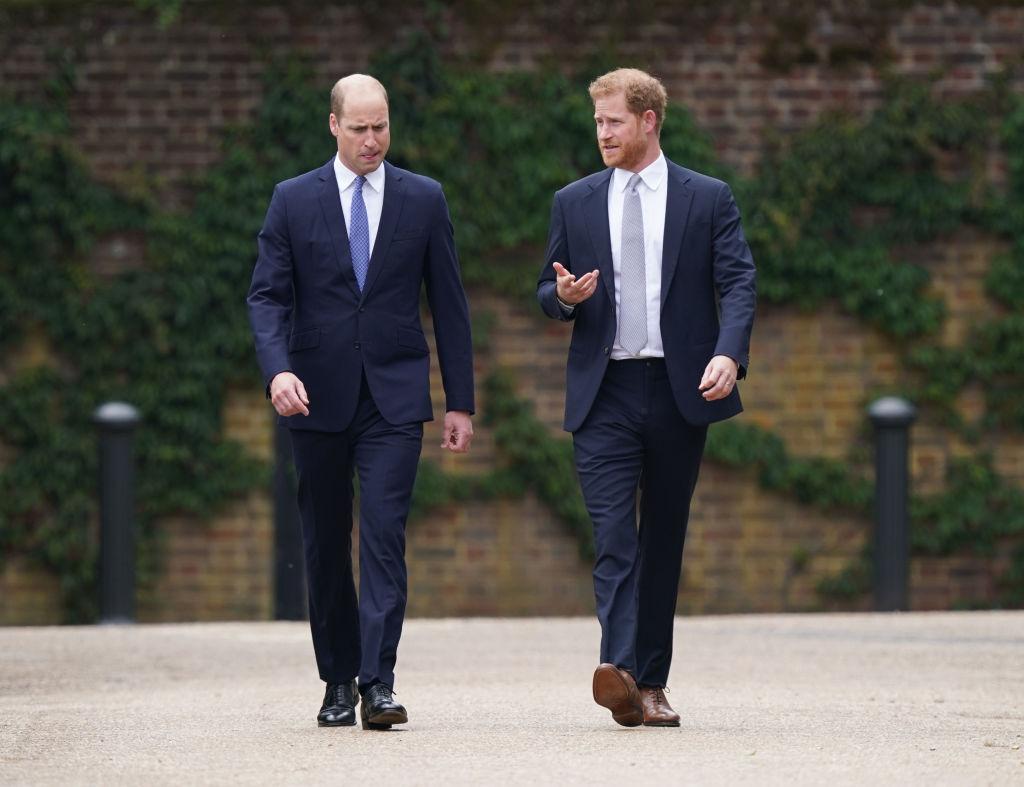 printul harry si printul william, amandoi la costum, in gradina castelului