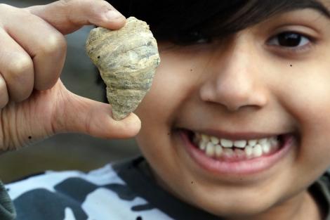 Un băiat săpa în grădină atunci când a descoperit o fosilă veche de 500 de milioane de ani. Cum arată aceasta