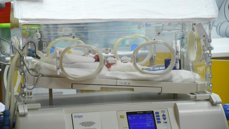 Bebelușii, în incubator