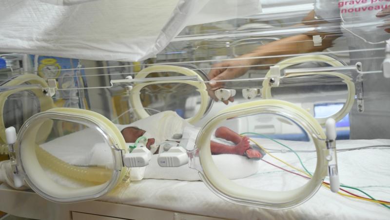 Bebelușii, în incubator