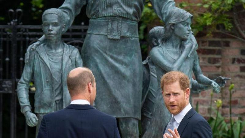 Cei doi fraţi au fost fotografiaţi stând unul lângă celălalt în momentul dezvelirii statuii create în memoria Prinţesei Diana