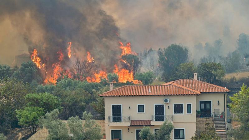 Focurile care au mistuit zeci de mii de hectare de teren s-au oprit