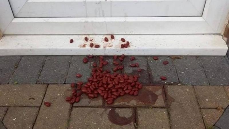 imaginea postata pe facebook de Maria Celino-Straker, cu fasolea aruncata pe usa