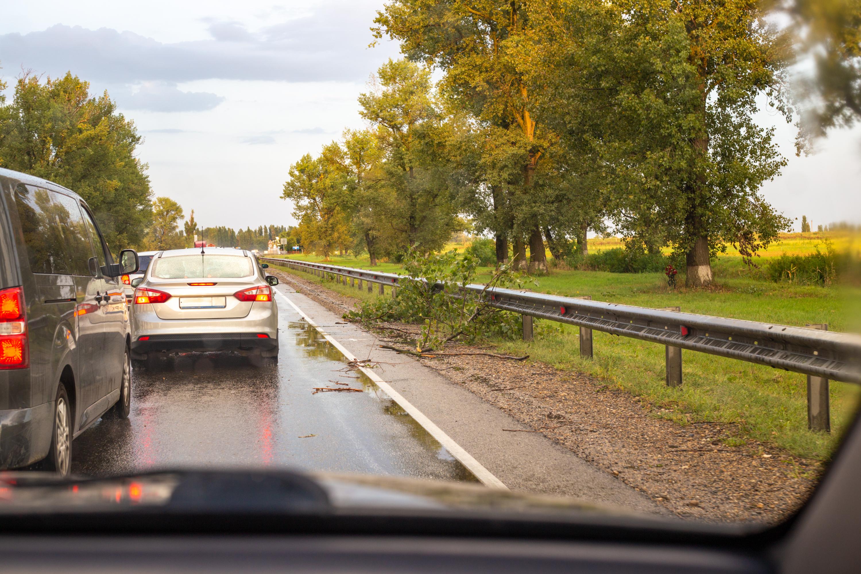 Prognoza meteo. Furtuni și vijelii la sfârșitul lui august, începutul lunii septembrie