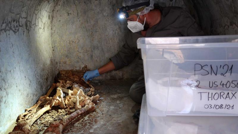 Este unul dintre cele mai bune schelete conservate găsite vreodată în orașul antic.