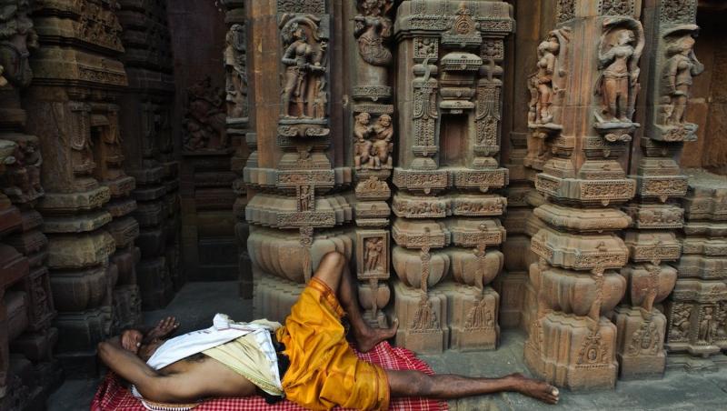 Pukharam poate dormi fără întrerupere timp de 25 de zile pe lună