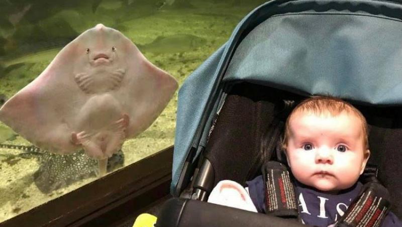 Când Wendy i-a făcut o poză fetiței ei de doar patru luni, Daisy, în acvariu s-a întâmplat să își facă apariția în acel moment o pisică de mare