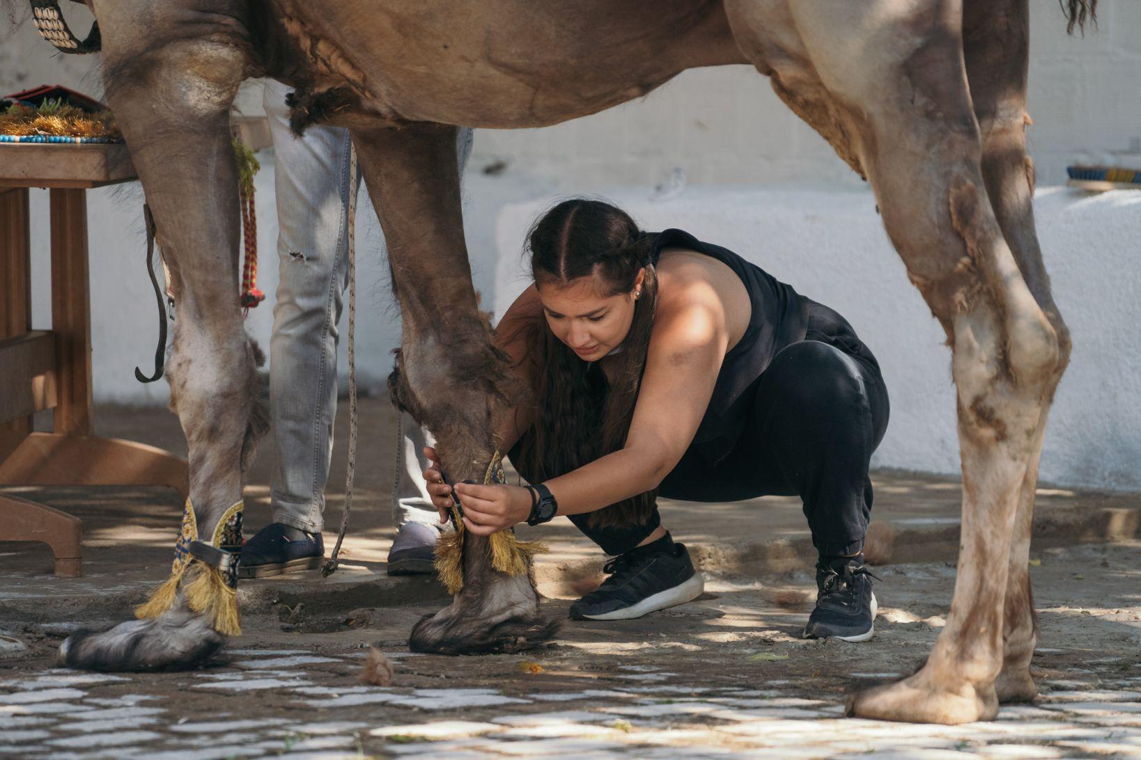 maria speranta langa o camila