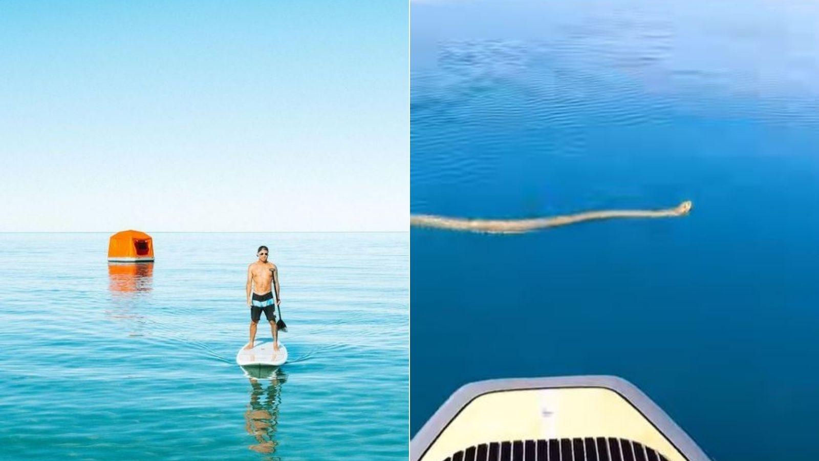 Un șarpe de mare gigant, aproape de a ataca un bărbat. Ce cadre a surprins tânărul speriat
