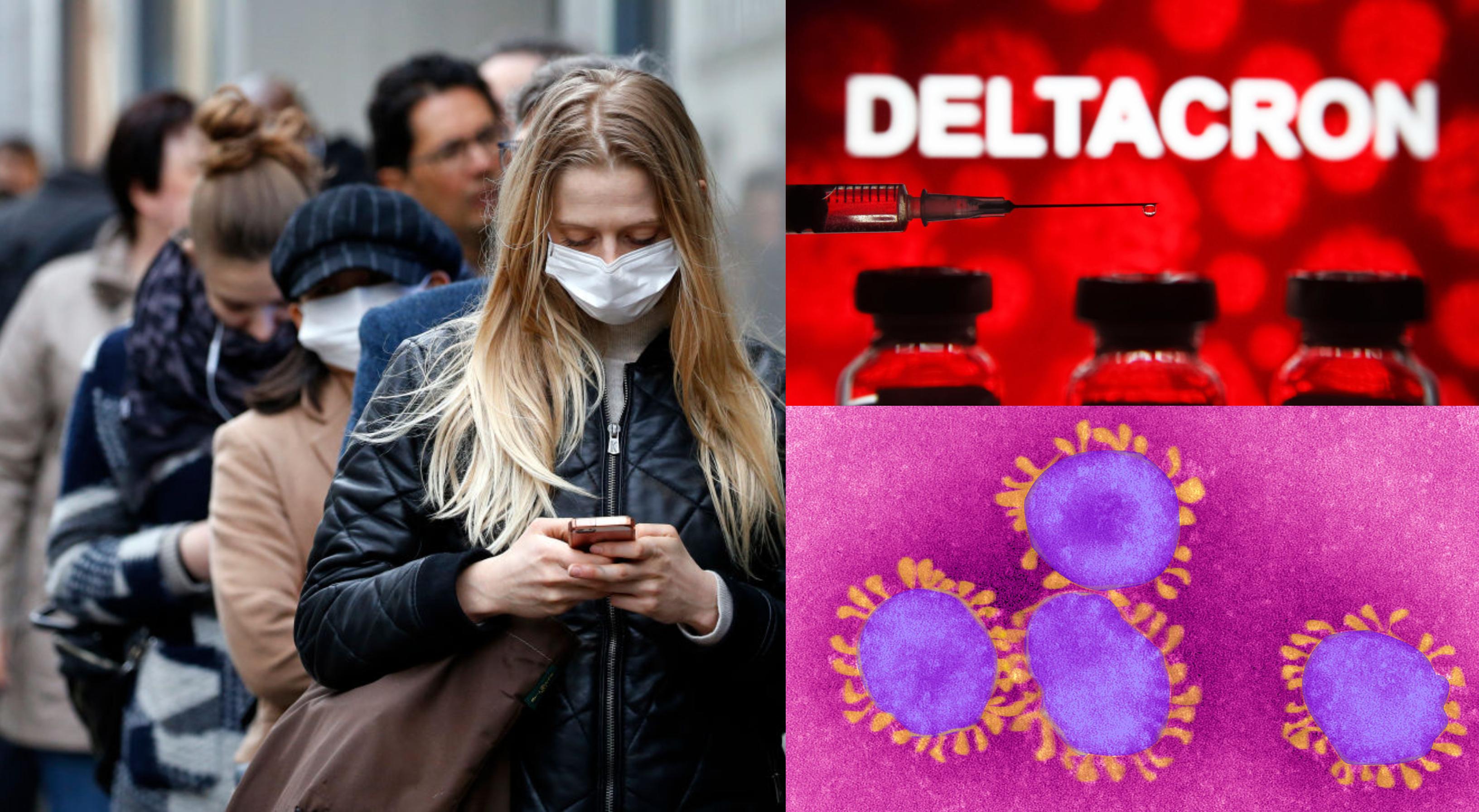 colaj de fotografii cu imagini de prezentare pentru delatcron, noul virus descoperit in cipru