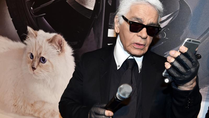 Pisica designerului Karl Lagerfeld face furori pe Instagram și a devenit un influencer de top