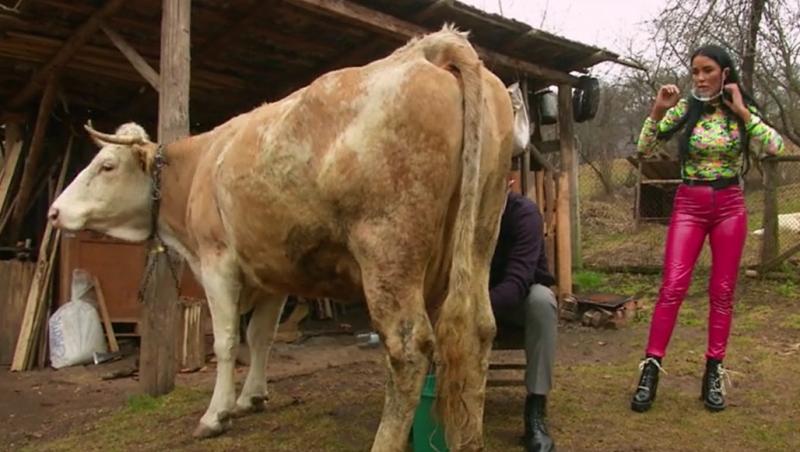 Poftiți pe la noi: Poftiți prin țară, 16 ianuarie 2022. Virgil Mănescu și Daniela Crudu au muls vaca. Ce a pățit Ana Baniciu