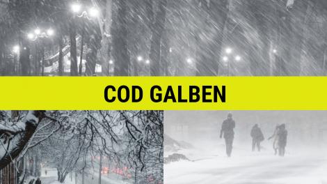 Alertă meteo! Cod galben de ninsori și viscol în mai multe județe din țară. Ce zone sunt afectate
