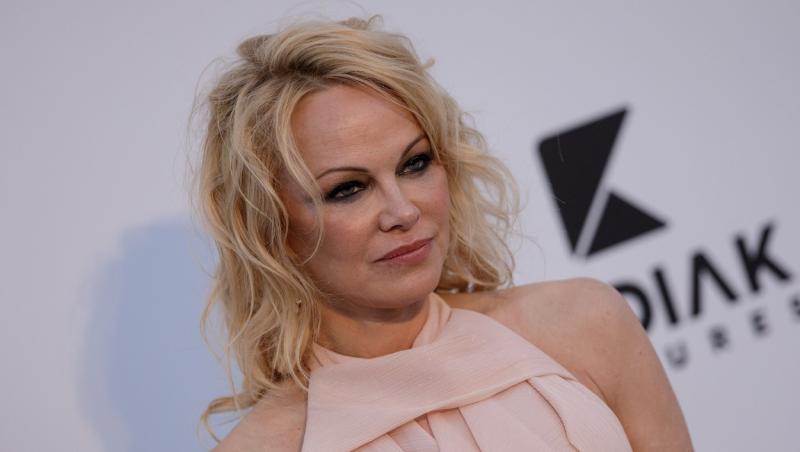 Celebra actriță Pamela Anderson, un etalon de frumusețe, s-a despărțit de curând de cel de-al cincilea soț al ei, Dan Hayhurst.