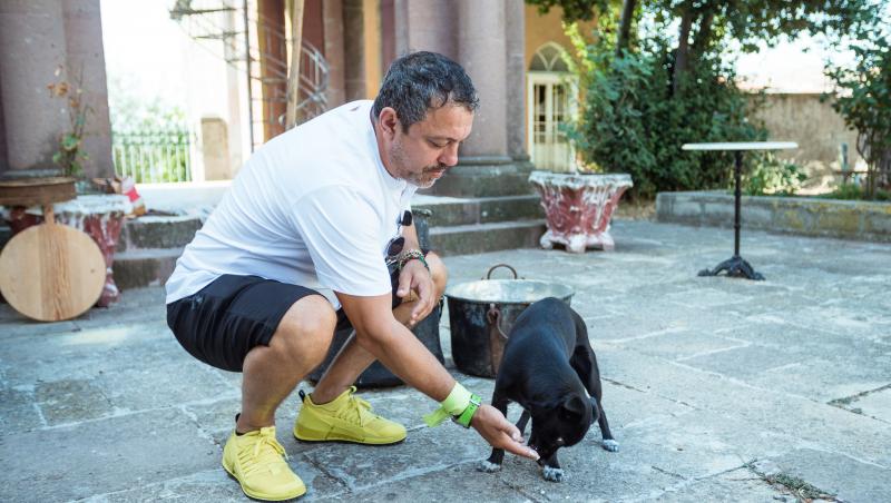 Chef Sorin Bontea, înduioșat la filmările Chefi fără limite: „Toate animalele din Grecia îmi duc dorul”