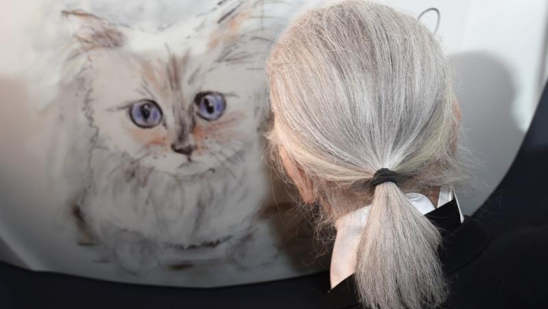 Choupette, pisica lui Karl Lagerfeld, ar putea fi cea mai bogată felină din lume