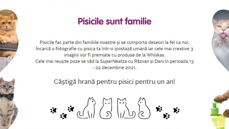 Antena 1 și Whiskas au lansat campania manifest „Pisicile sunt familie” în emisiunea „Neatza cu Răzvan și Dani”