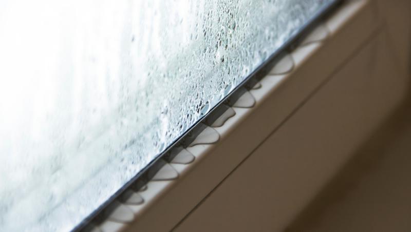 Există un truc simplu ce te ajută să scapi de condensul de pe geamuri și de mucegaiul de pe pereți