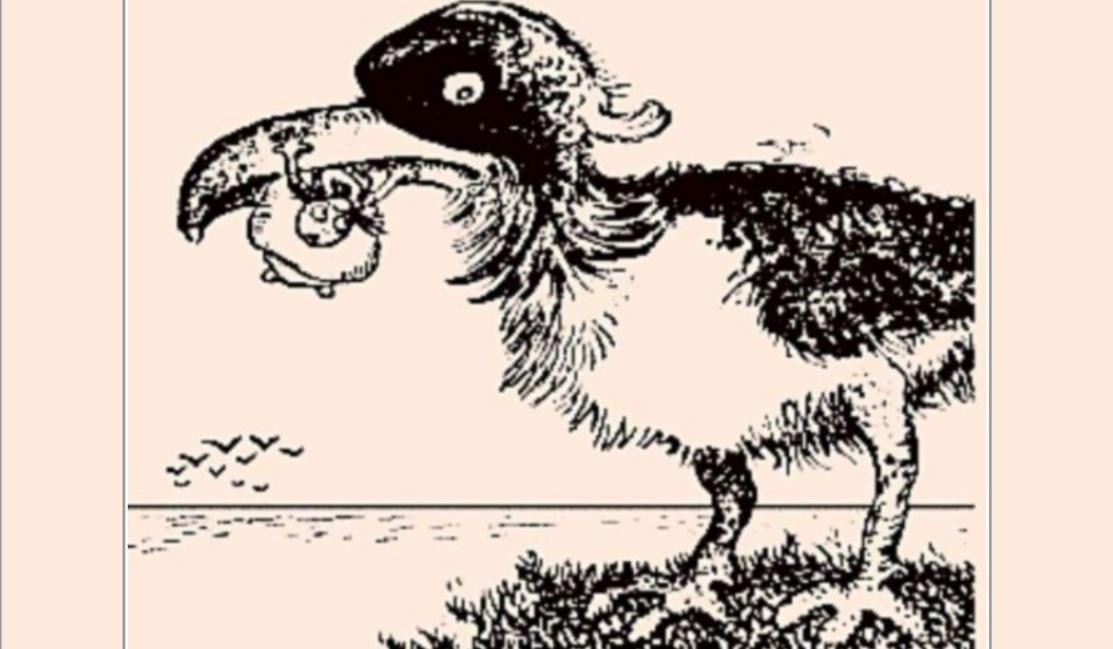 desen realizat de Gustave Verbeek ce surprinde o pasăre