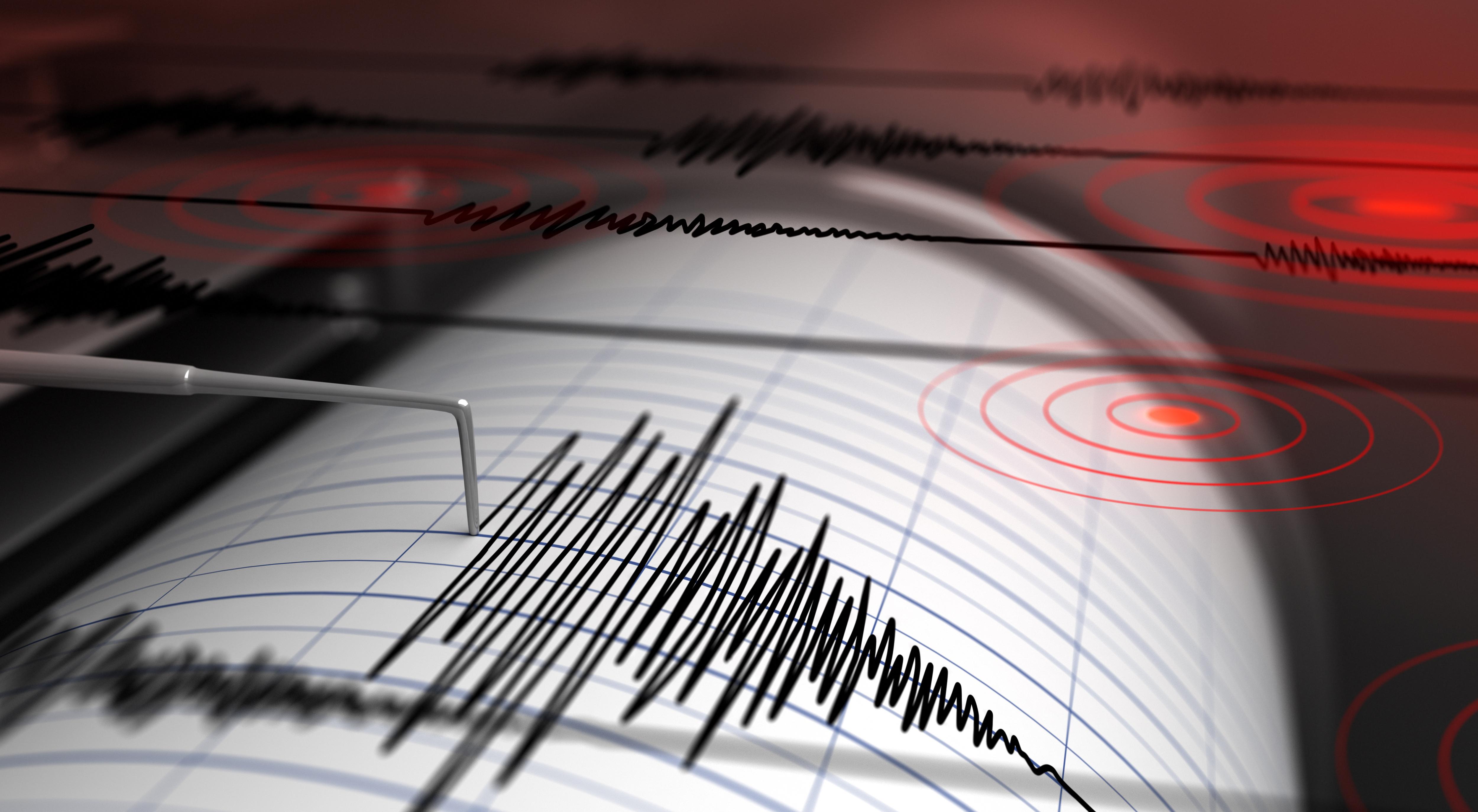 imagine cu inregistrarea cutremurului din romania