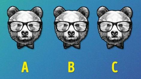 Test de inteligență în 7 secunde! Privește poza și descoperă ce urs este diferit! Iată răspunsul