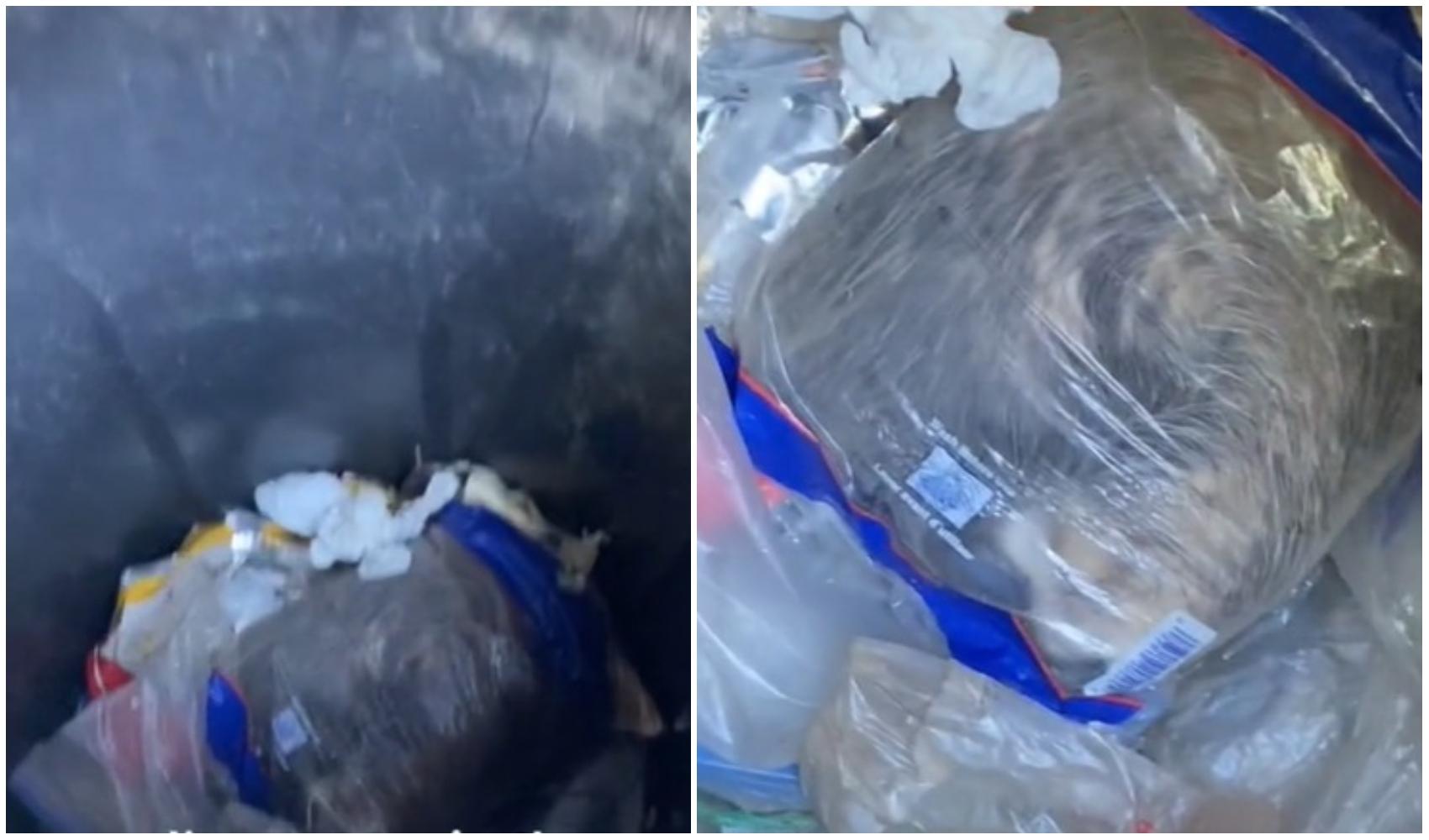 O femeie a aruncat o pungă de gunoi la pubelă, dar când s-a uitat mai atent a făcut o descoperire neașteptată. Peste ce a dat