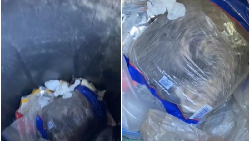 Femeia a filmat ce se afla într-o pungă de gunoi și imaginile au devenit virale pe TikTok