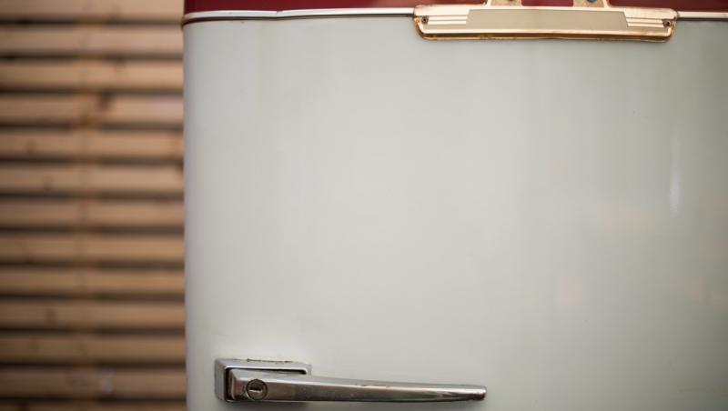 O femeie a început să curețe congelatorul bunicilor, care nu mai fusese deschis din 1993. În ce stare a găsit mâncarea