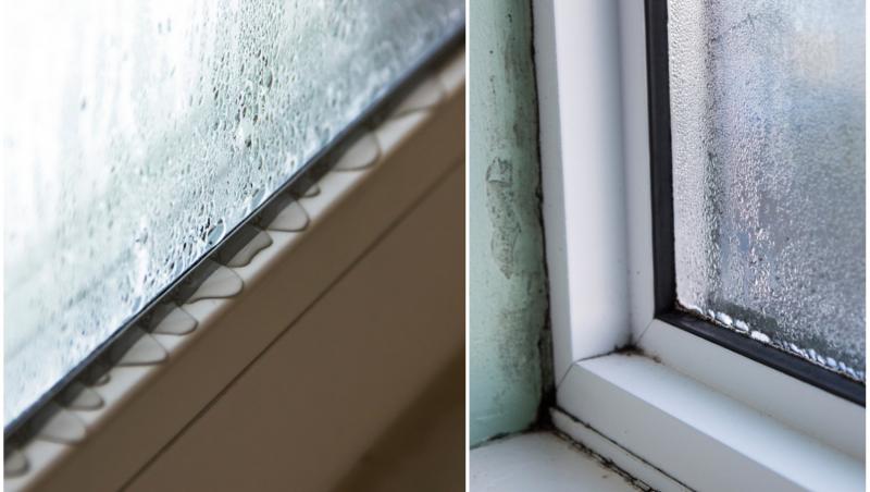 Descoperă soluții ca să scapi de condensul de pe geamurile termopan și de umezeală sau mucegai
