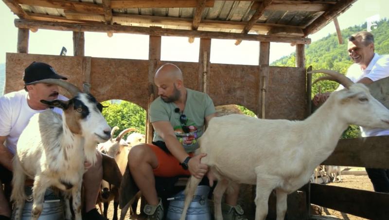 Poftiți pe la noi: Poftiți la târg, 21 decembrie 2022. Romică Țociu, accidentat de Vârciu și lovit de o capră: „Mi-a spart capul”