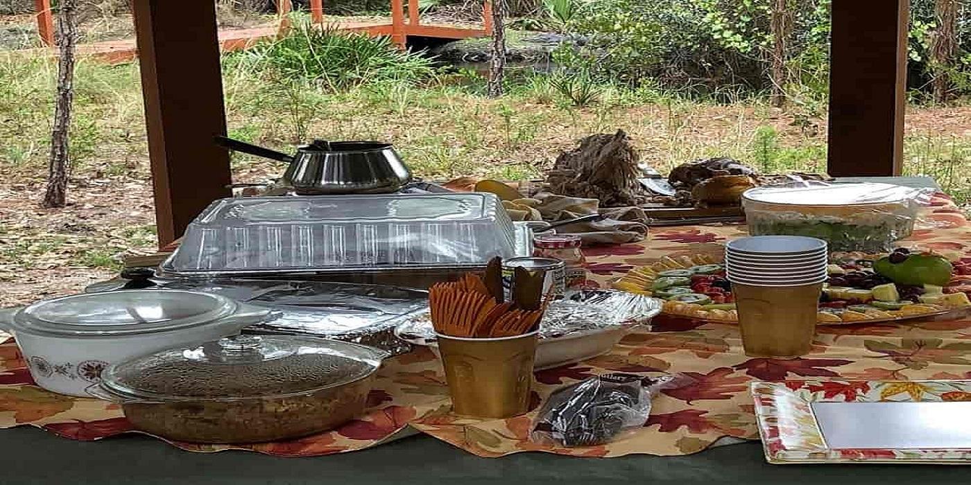 imagine surprinsa la un picnic unde apare si un crocodil