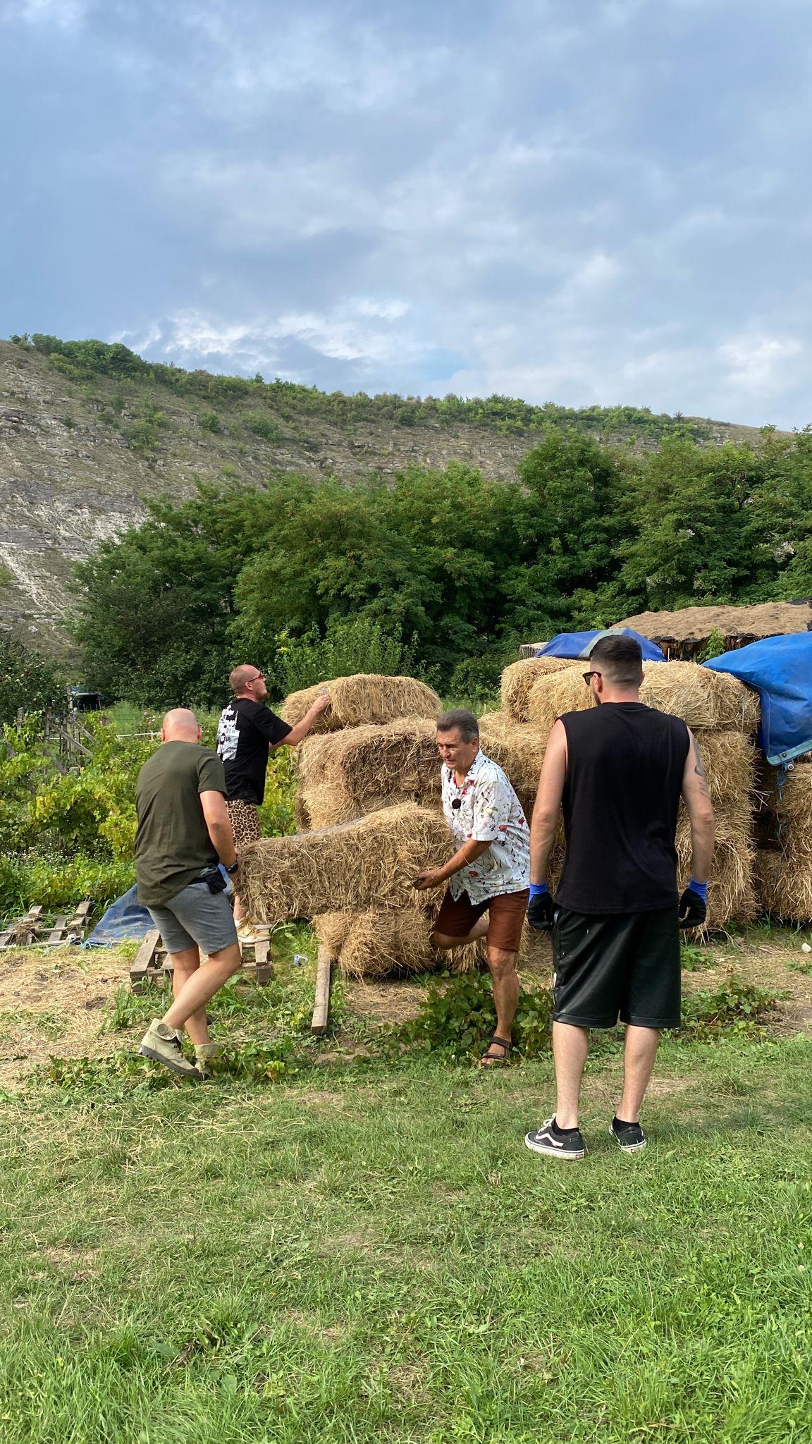 Nea Marin cărând baloți de fân