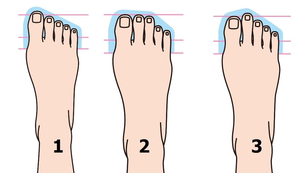 imagine cu trei tipuri de picioare