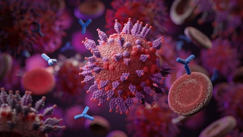 virusul coronavirus dupa ce a suferit mai multe mutatii