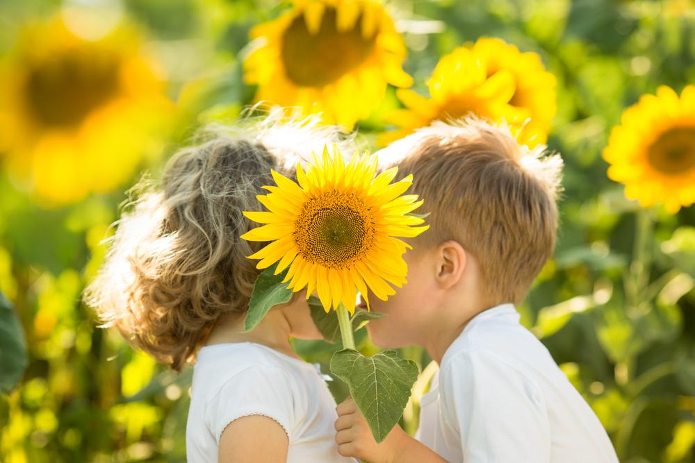 2 copii sarutandu-se in spatele unei flori de floarea soarelui