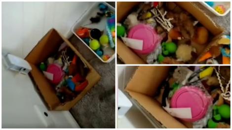 Ce a putut să găsească un bărbat în cutia cu jucării a copiilor. A apelat imediat la autorități