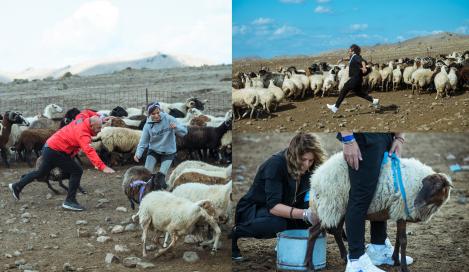 Chefi fără limite, 7 martie 2022. Cătălin Scărlătescu ajunge la pământ în lupta cu oile de la stână. Ce s-a întâmplat