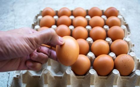 Anunț important pentru consumatori. ANPC a dat amenzi pentru comercializarea ouălor. Care este motivul