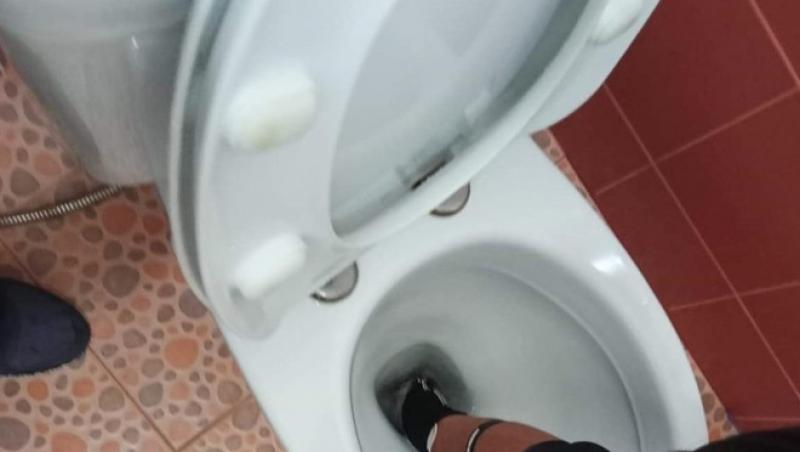 Omul a făcut o descoperire complet neașteptată, chiar în toaleta din propria casă