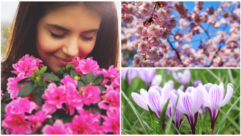 Mulți dintre români poartă nume de floar eși sunt sărbătoriți în Duminica Floriilor