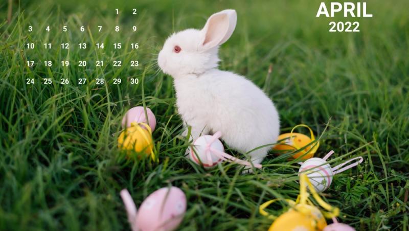 pagina de calendar pentru aprilie cu un iepuras alb si oua colorate pe iarba