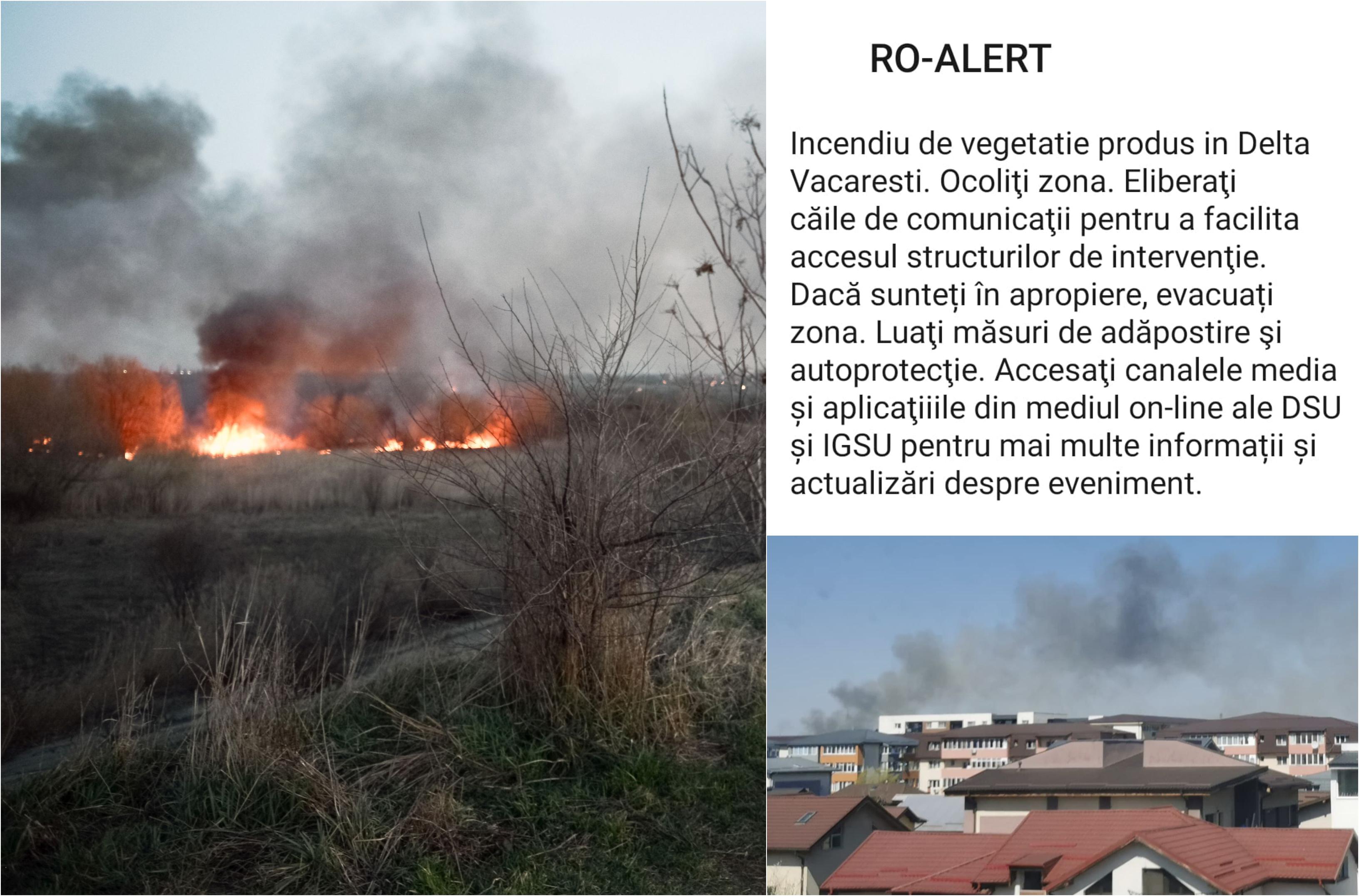 colah de fotografii cu text de avertizare pentru incendiu, imagini cu vegetatie in flacari si fum