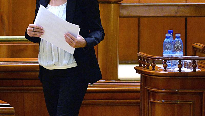 Instanța din Bulgaria a amânat din nou decizia privind extrădarea Elenei Udrea. Când va afla fostul ministru dacă vine în România