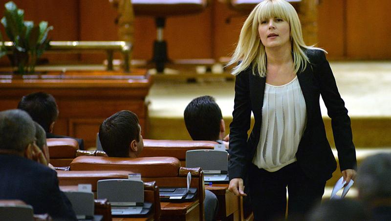 Ce garanții cere Elena Udrea pentru a reveni în țară. Fostul ministru a transmis un nou mesaj din închisoare