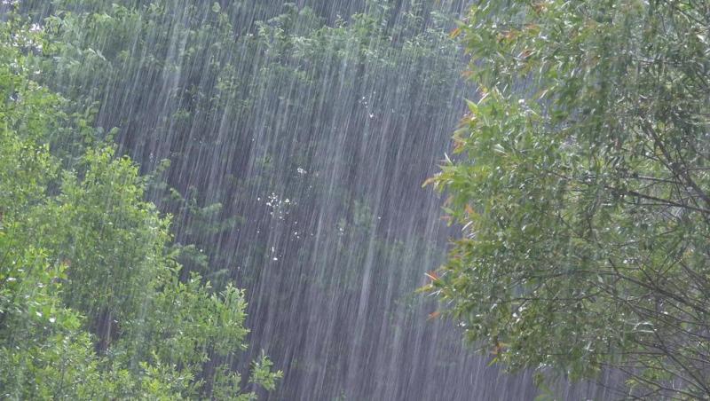 Alertă meteo! Cod galben de ploi torențiale și descărcări electrice în 28 de județe din țară. Ce zone sunt vizate